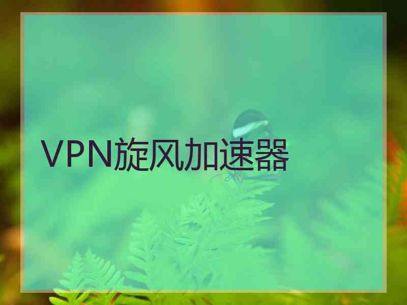 VPN旋风加速器