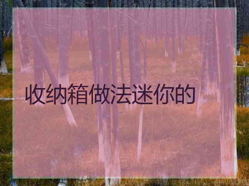 收纳箱做法迷你的