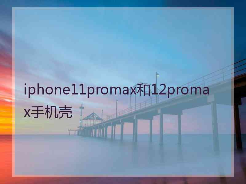 iphone11promax和12promax手机壳