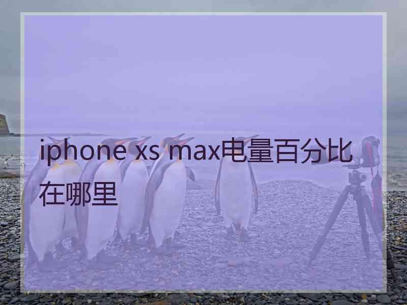 iphone xs max电量百分比在哪里