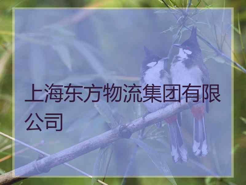 上海东方物流集团有限公司