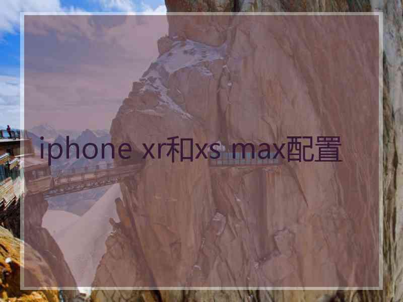 iphone xr和xs max配置