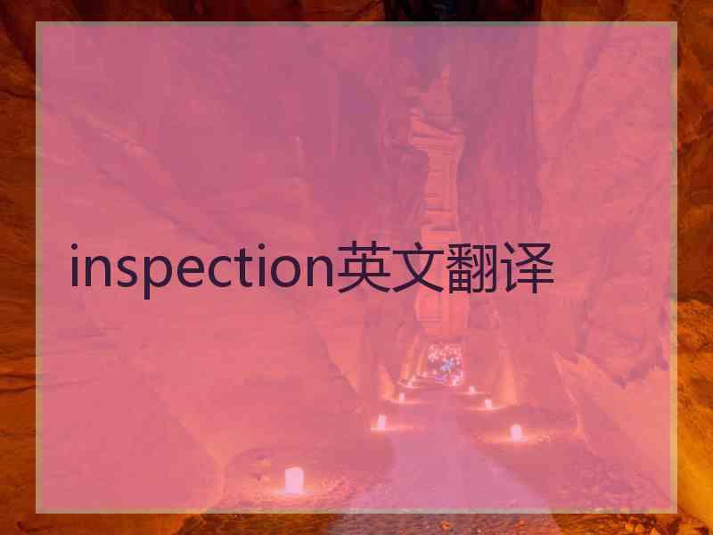 inspection英文翻译