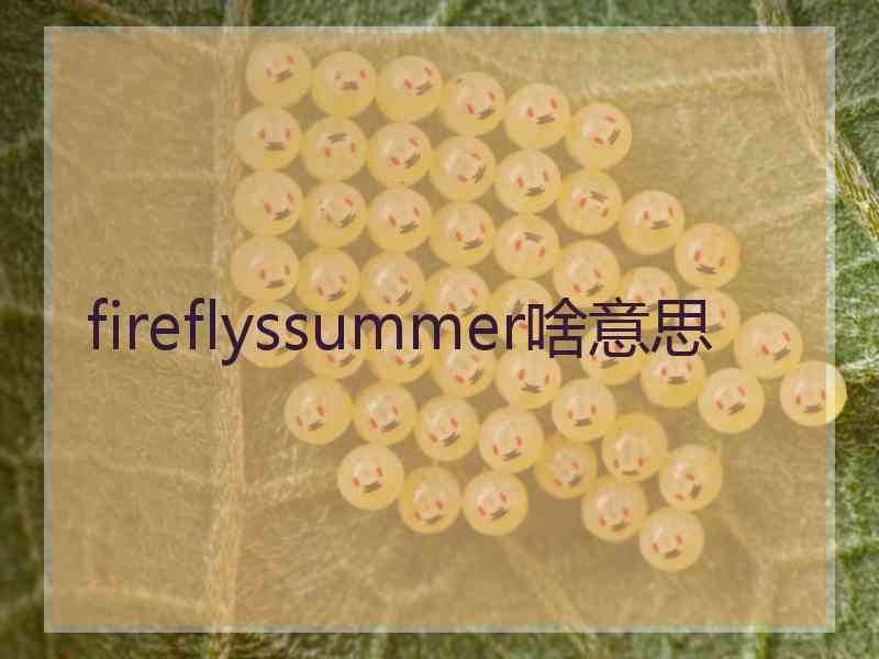 fireflyssummer啥意思