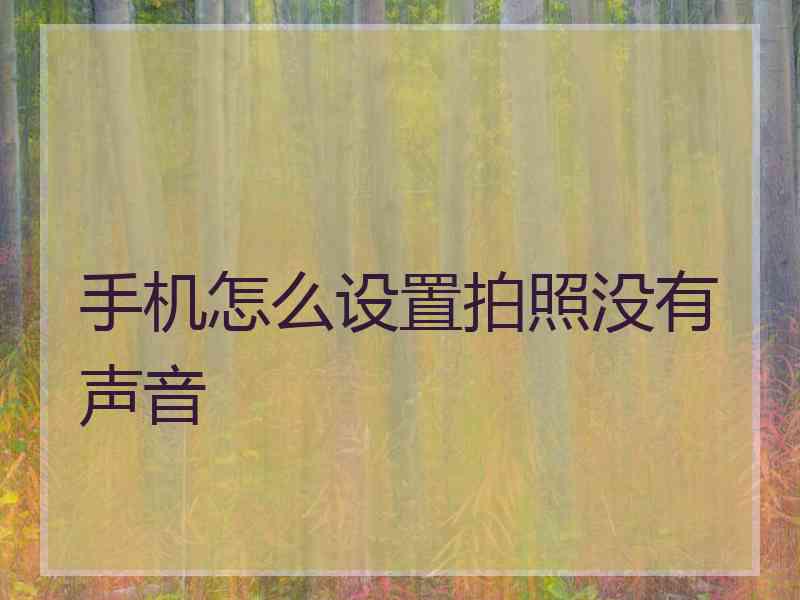 手机怎么设置拍照没有声音