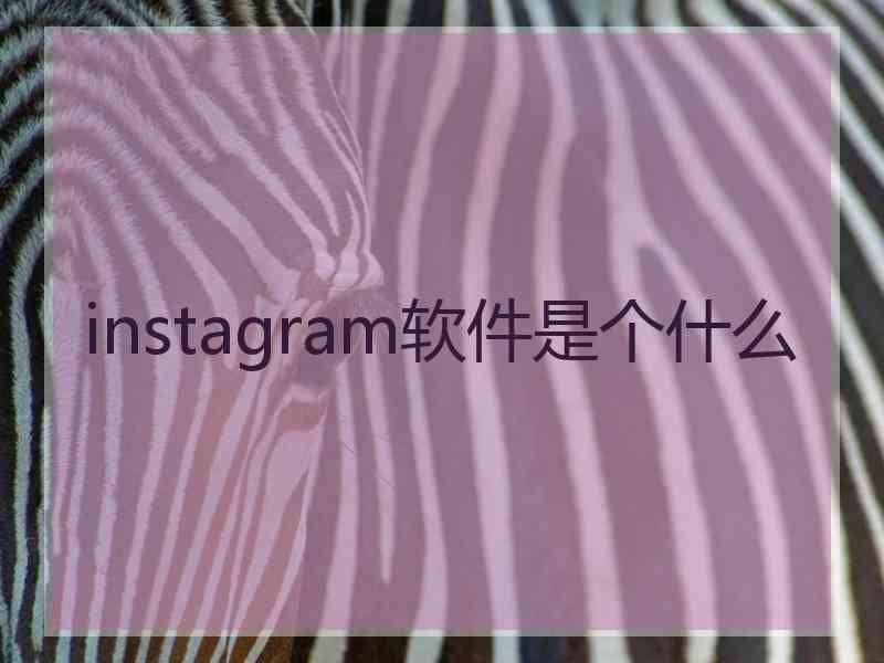 instagram软件是个什么