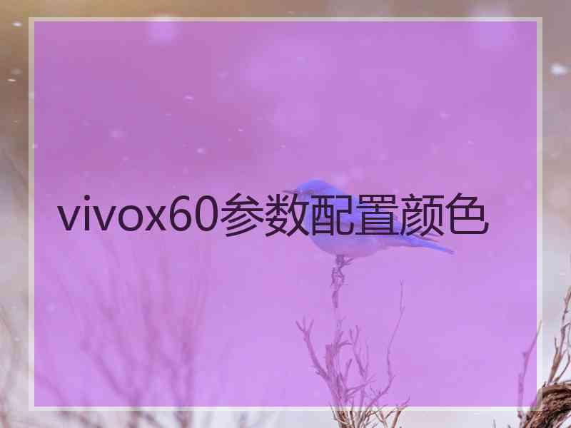 vivox60参数配置颜色