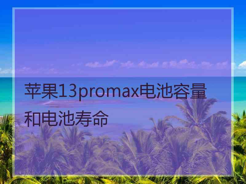 苹果13promax电池容量和电池寿命