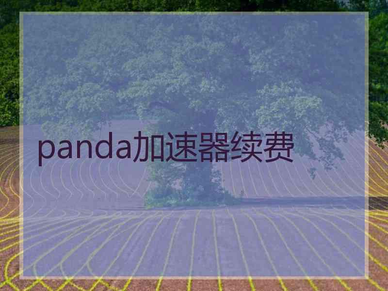 panda加速器续费