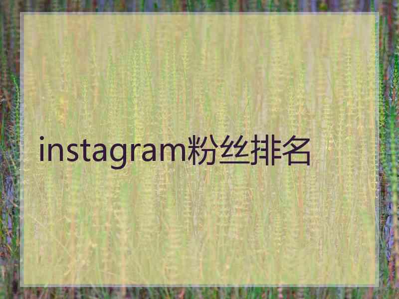 instagram粉丝排名