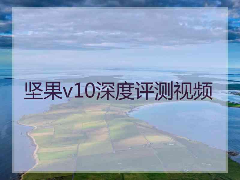 坚果v10深度评测视频