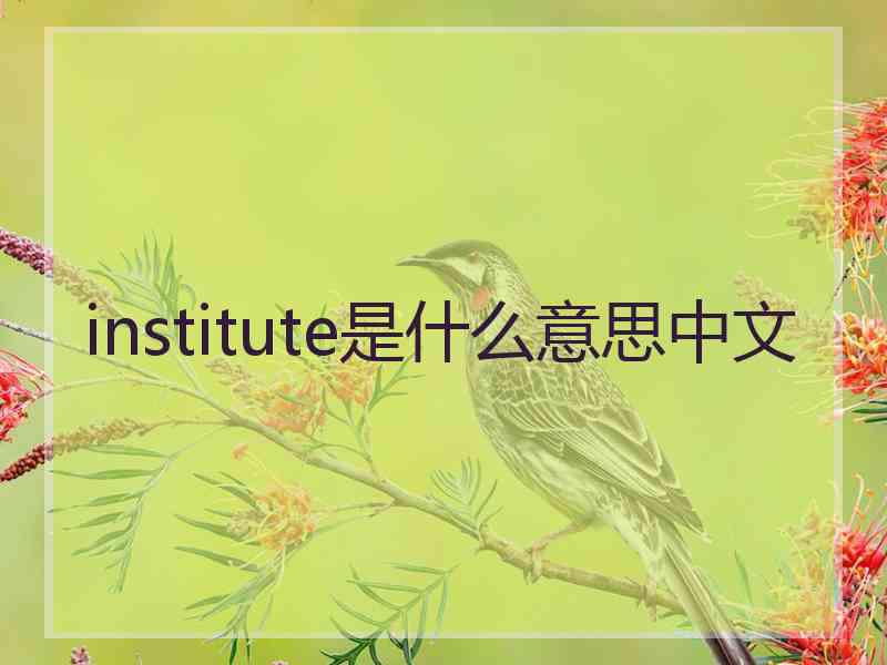 institute是什么意思中文