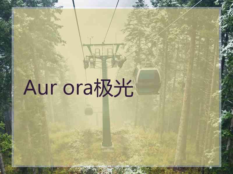 Aur ora极光