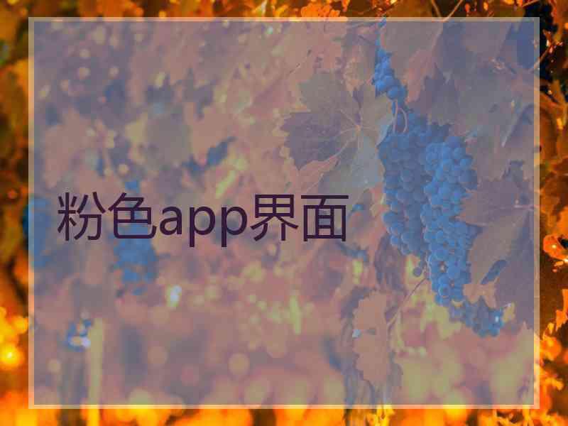 粉色app界面