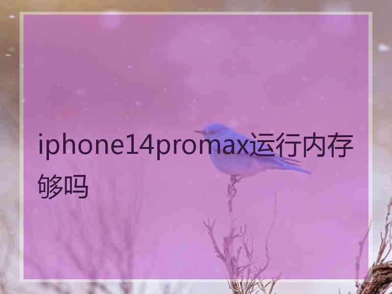 iphone14promax运行内存够吗