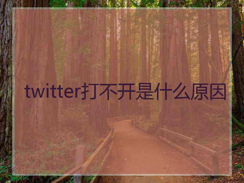 twitter打不开是什么原因