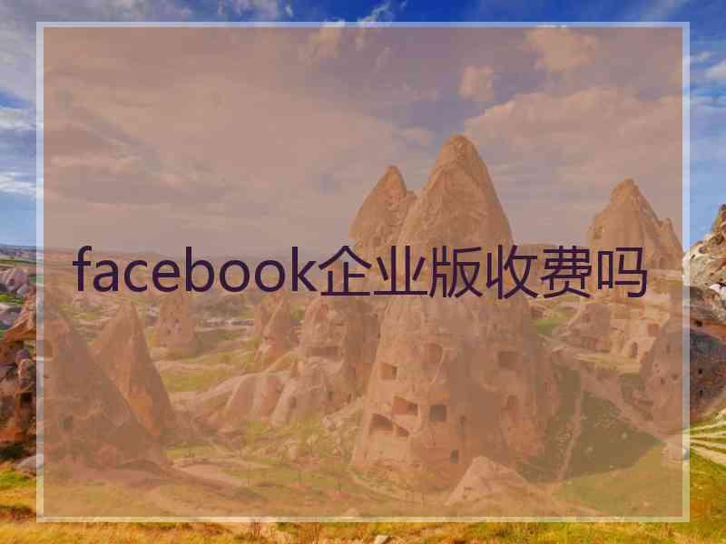 facebook企业版收费吗