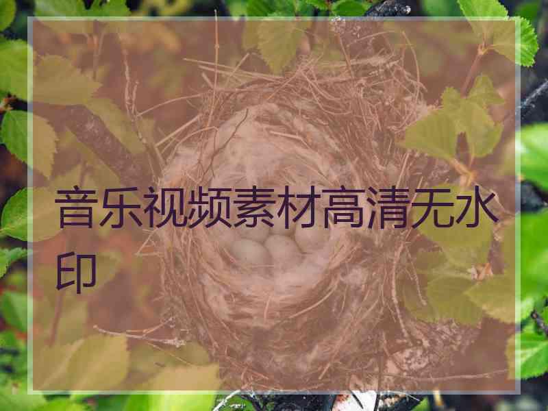 音乐视频素材高清无水印