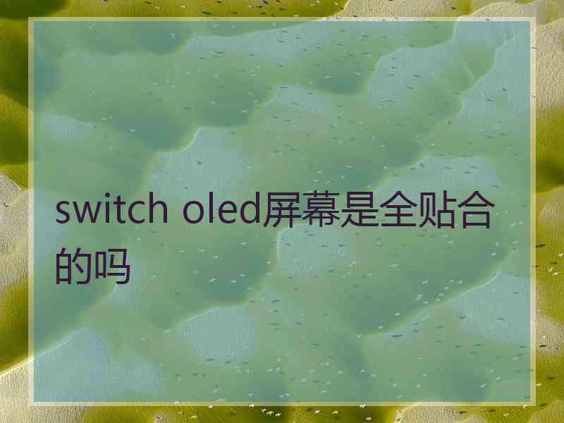 switch oled屏幕是全贴合的吗