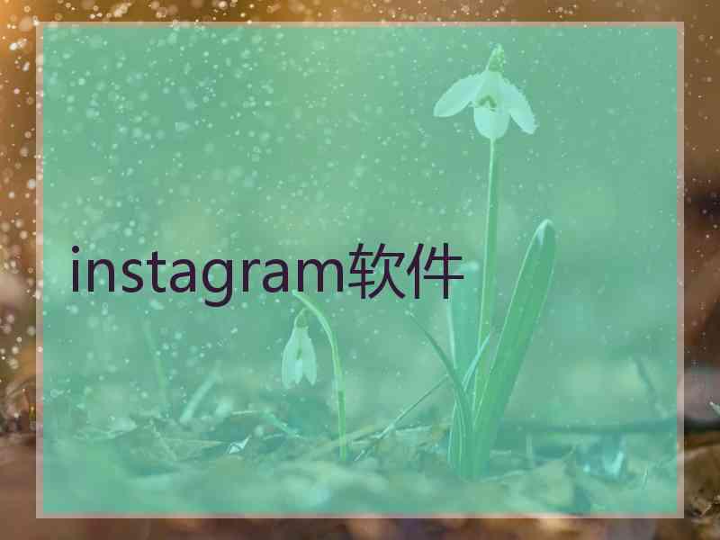 instagram软件