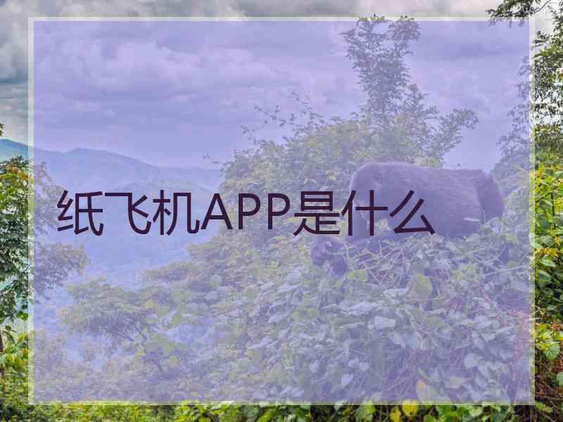 纸飞机APP是什么