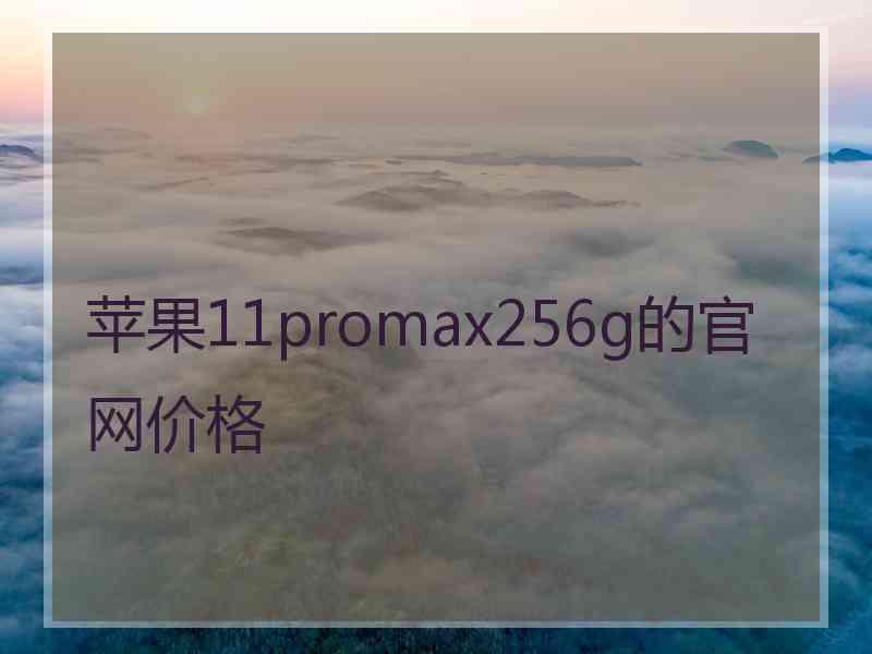 苹果11promax256g的官网价格