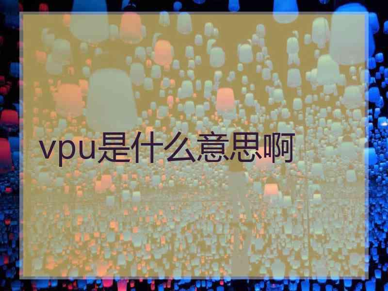 vpu是什么意思啊