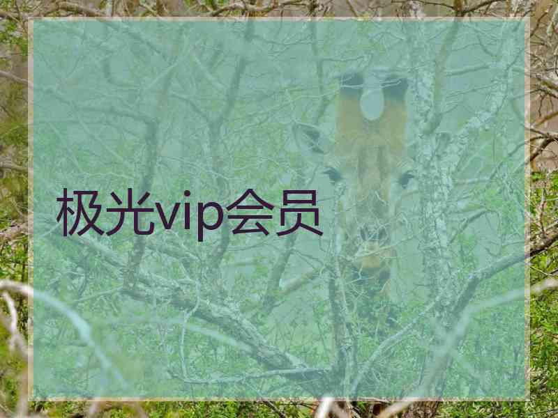 极光vip会员