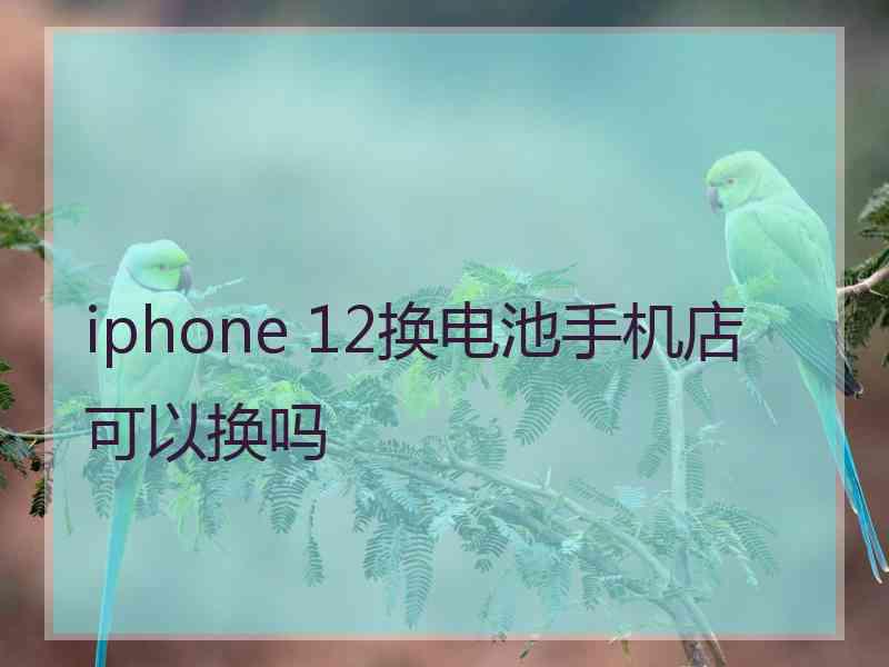 iphone 12换电池手机店可以换吗