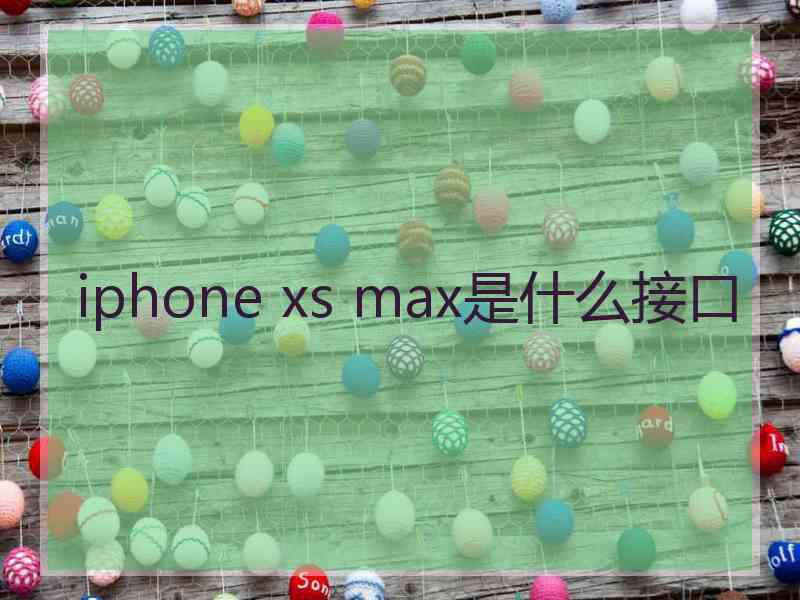 iphone xs max是什么接口