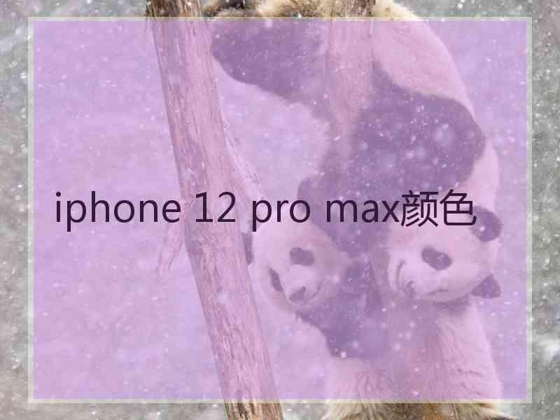 iphone 12 pro max颜色