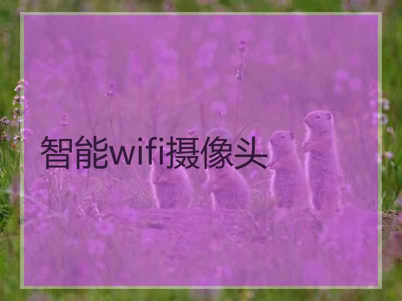 智能wifi摄像头