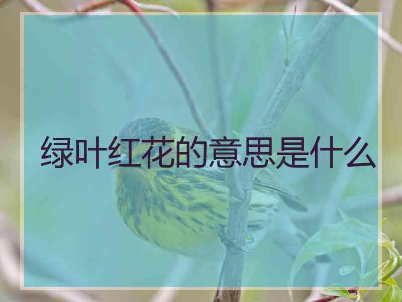 绿叶红花的意思是什么