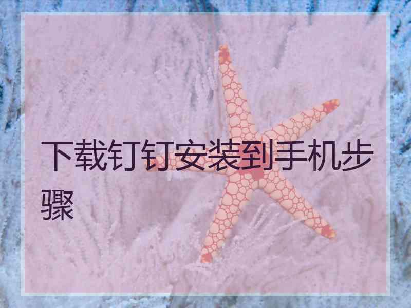 下载钉钉安装到手机步骤