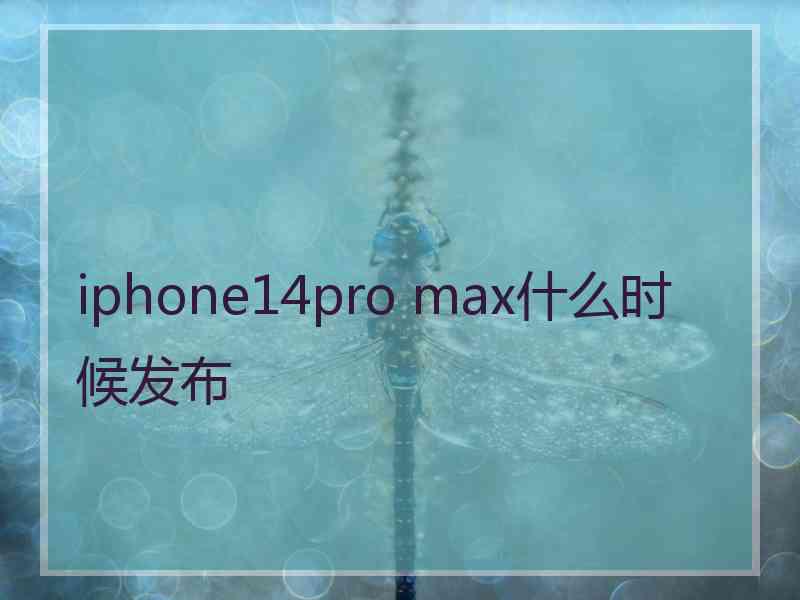 iphone14pro max什么时候发布