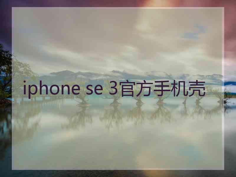 iphone se 3官方手机壳