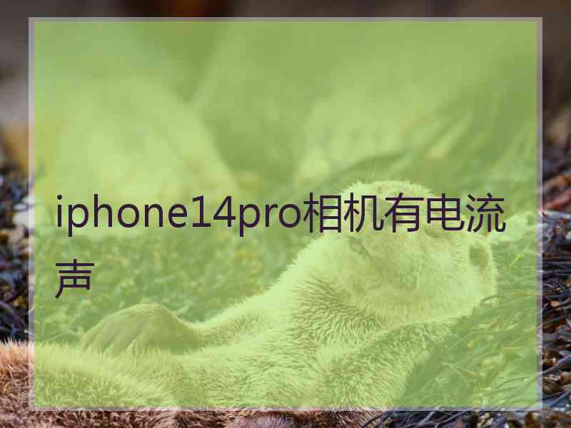 iphone14pro相机有电流声