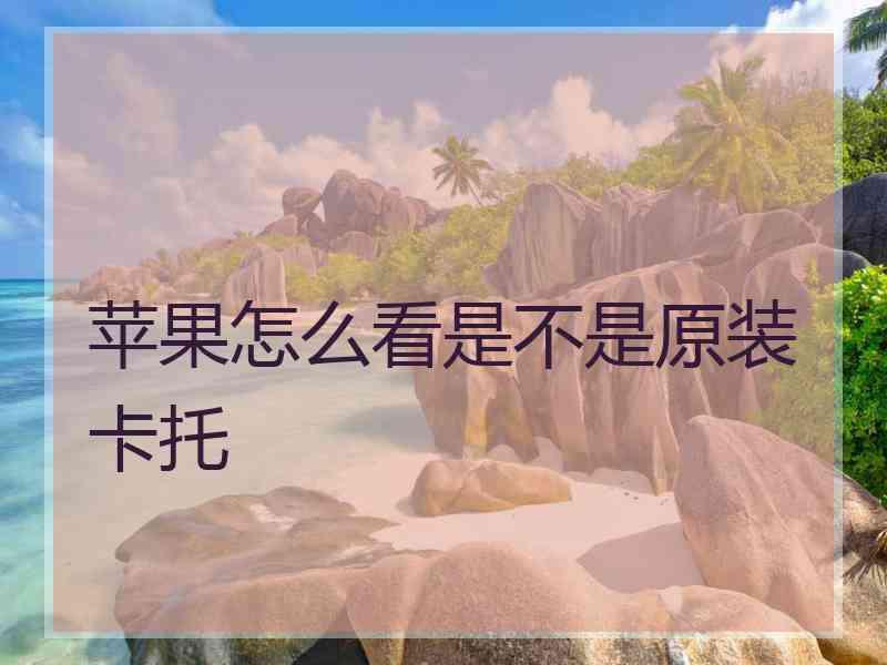 苹果怎么看是不是原装卡托