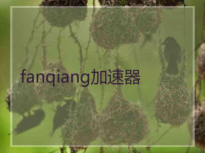 fanqiang加速器