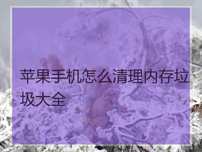 苹果手机怎么清理内存垃圾大全