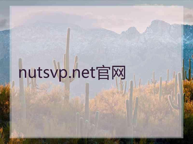 nutsvp.net官网