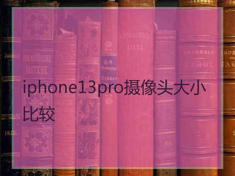 iphone13pro摄像头大小比较