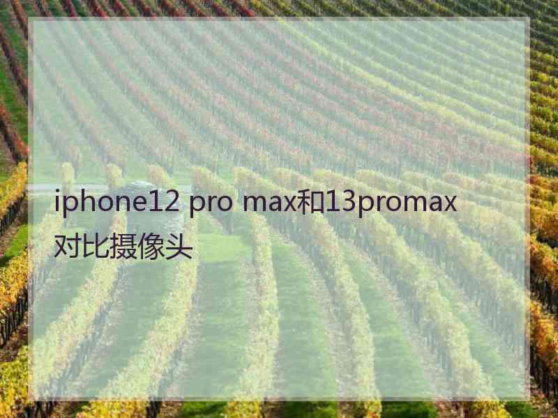 iphone12 pro max和13promax对比摄像头