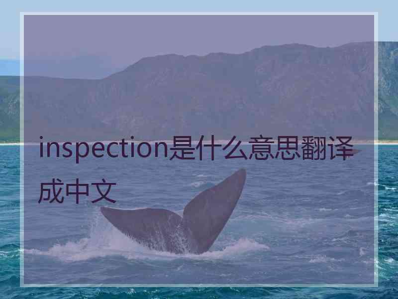 inspection是什么意思翻译成中文