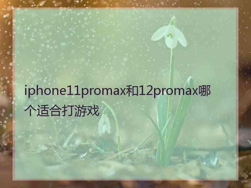 iphone11promax和12promax哪个适合打游戏