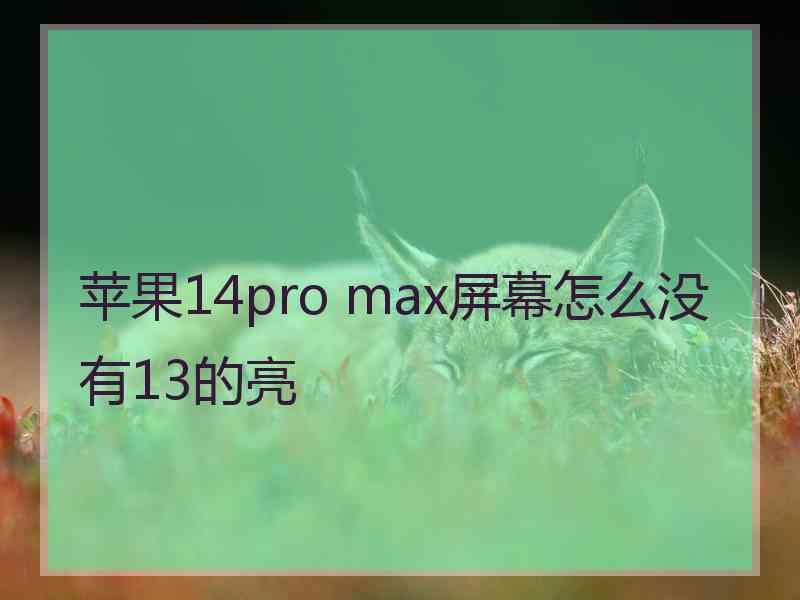 苹果14pro max屏幕怎么没有13的亮