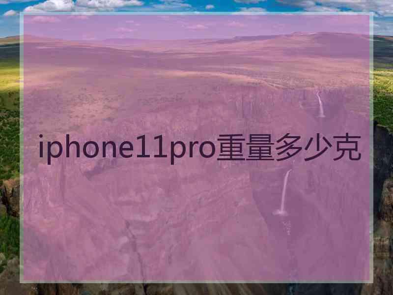 iphone11pro重量多少克