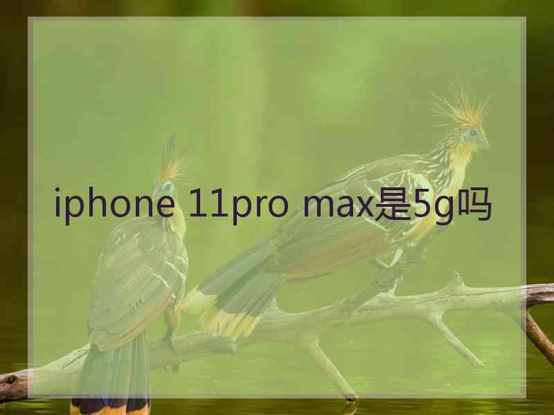 iphone 11pro max是5g吗