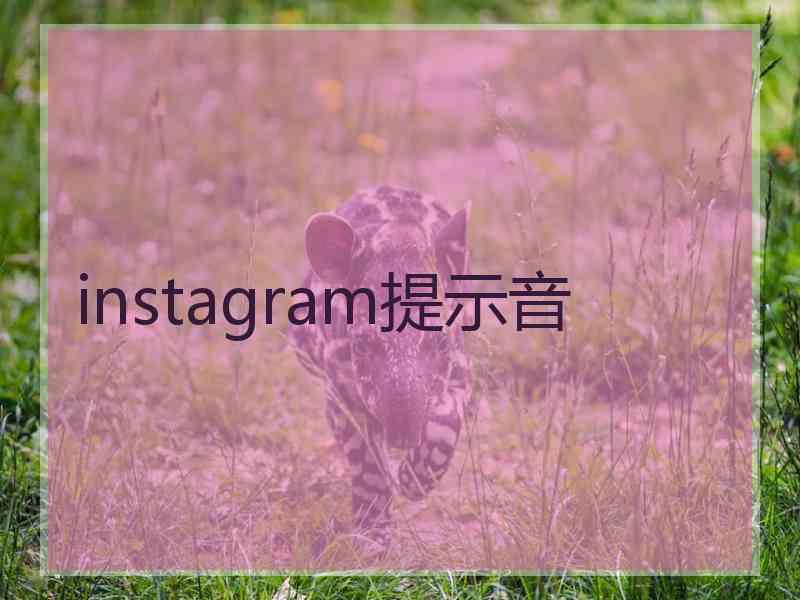 instagram提示音