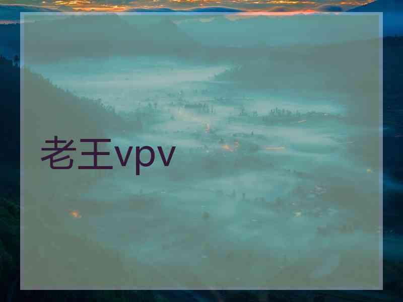 老王vpv